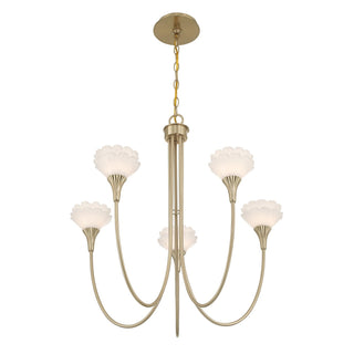Florena Five Light Chandelier in Noble Brass