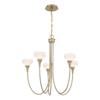 Florena Five Light Chandelier in Noble Brass