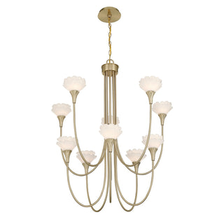 Florena Ten Light Chandelier in Noble Brass