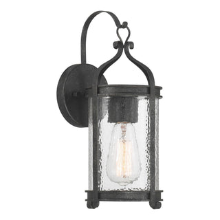 Preston One Light Outdoor Wall Lantern in Iron Oxide