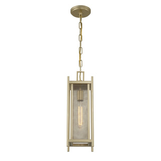 Jacobs One Light Outdoor Hanging Lantern in Serene Brass