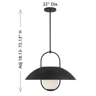 Lehigh One Light Pendant in Matte Black
