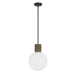 Jarrell One Light Pendant in Matte Black
