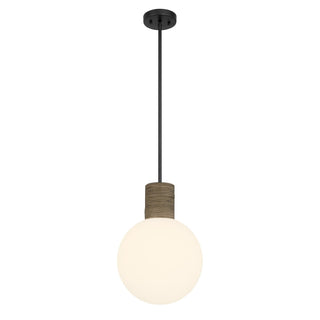 Jarrell One Light Pendant in Matte Black