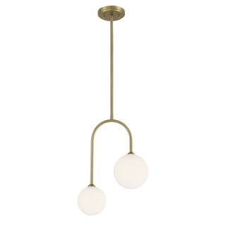 Chester Two Light Pendant in Noble Brass