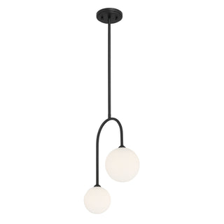Chester Two Light Pendant in Matte Black