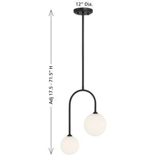 Chester Two Light Pendant in Matte Black