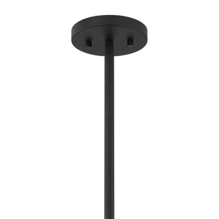 Livingston One Light Pendant in Matte Black