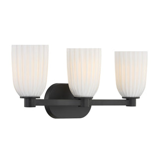 Baldwin Three Light Bathroom Vanity in Matte Black