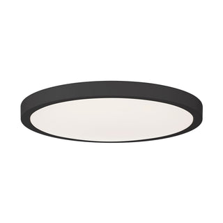 LED Flush Mount in Black