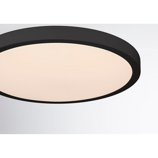 LED Flush Mount in Black