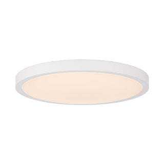 LED Flush Mount in White