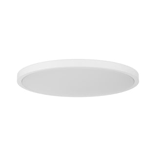 LED Flush Mount in White
