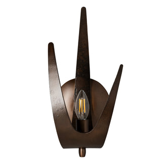 Caribou Caribou 1-Light Sconce in Bronze