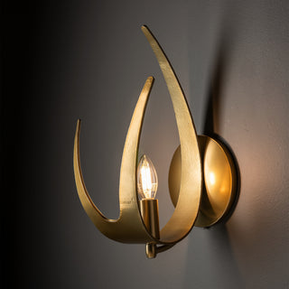 Caribou Caribou 1-Light Sconce in Modern Brass