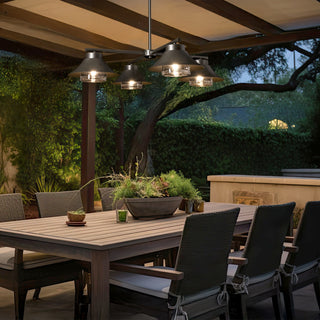 Stowe Stowe 4-Light Outdoor Pendant in Coastal Dark Smoke
