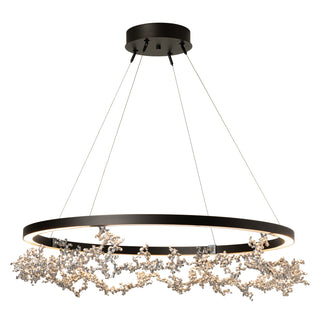 Coral Coral LED Ring Pendant in Oil Rubbed Bronze