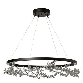 Coral Coral LED Ring Pendant in Oil Rubbed Bronze