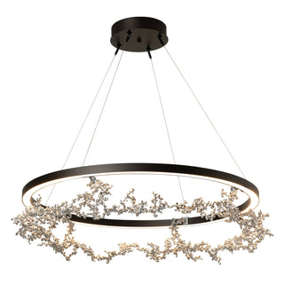 Coral Coral LED Ring Pendant in Oil Rubbed Bronze
