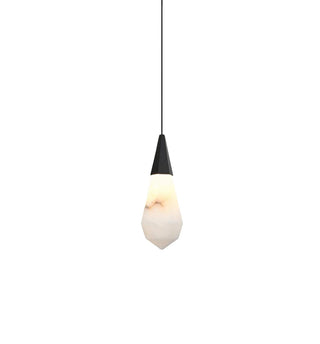 Amora LED Pendant in Black