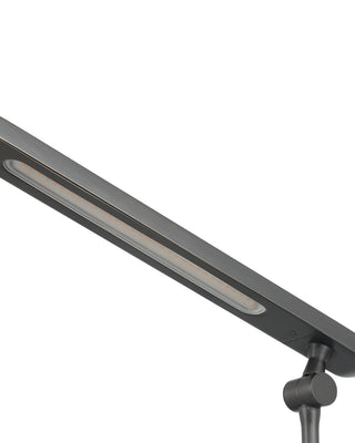 Hanford LED Table Lamp in Oil Rubbed Bronze / Black
