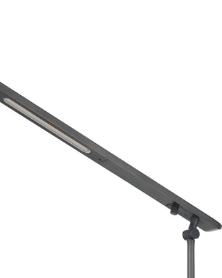 Hanford LED Floor Lamp in Oil Rubbed Bronze / Black