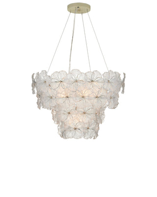 Mallow Five Light Chandelier in Clear / Champagne
