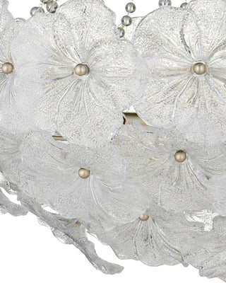 Mallow Six Light Chandelier in Clear / Champagne