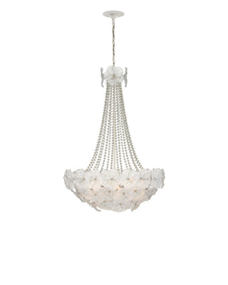 Mallow Six Light Chandelier in Clear / Champagne