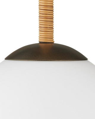 Denison One Light Outdoor Lantern in Natural / Bronze / Frosted White