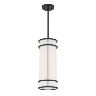 Porter One Light Mini Pendant in Matte Black