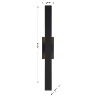 Davis LED Outdoor Wall Lantern in Black