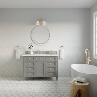 48 Inch Brittany Freestanding Vanity in Urban Gray / Lime Delight Top