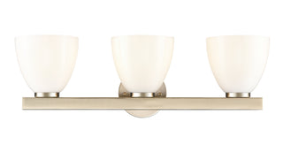 Apria 24" Wide 3-Light Vanity - Modern Gold