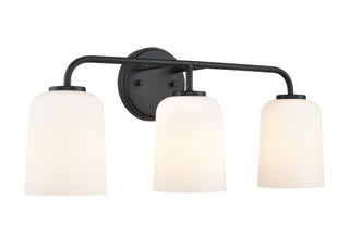 Laphia 22" Wide 3-Light Vanity - Matte Black