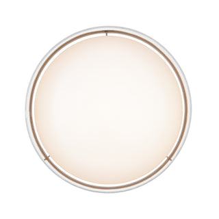 Rosata 16" Wide LED Flushmount Light - White
