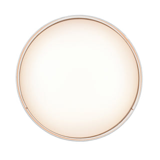 Rosata 20" Wide LED Flushmount Light - White