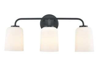 Laphia 22" Wide 3-Light Vanity - Matte Black