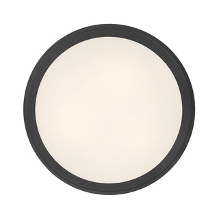 Stralara  12" Wide 2-Light Flush Mount