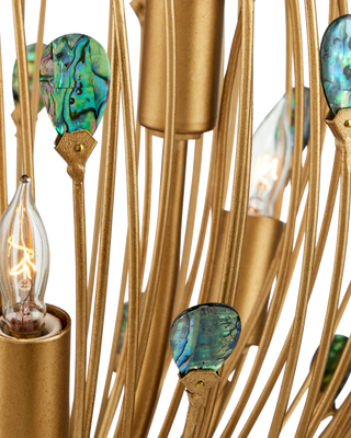 Delphos Chandelier