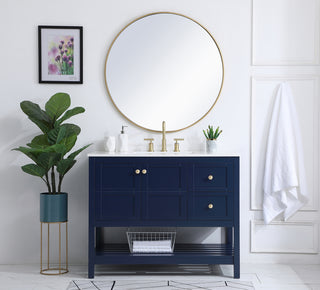 42 inch Single Bathroom Vanity in Blue