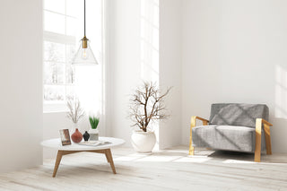 Destry 1 Light Brass Pendant With Clear Glass