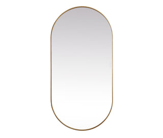 Metal Frame Oval Mirror 36x72 Inch in Brass