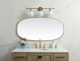 Metal Frame Oval Mirror 24x48 Inch in Brass