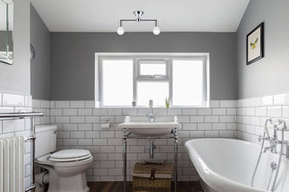 Zane 2 lights chrome flush mount