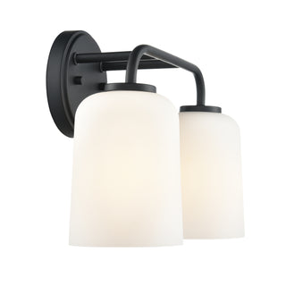 Laphia 14" Wide 2-Light Vanity - Matte Black