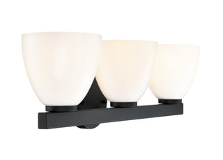 Apria 24" Wide 3-Light Vanity - Matte Black