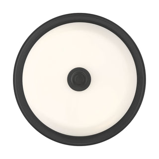 Strayhan 13" Wide 2-Light Flush Mount