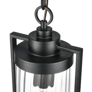 Braselton 8" Wide 1-Light Outdoor Hanging Lantern - Powder Coated Black