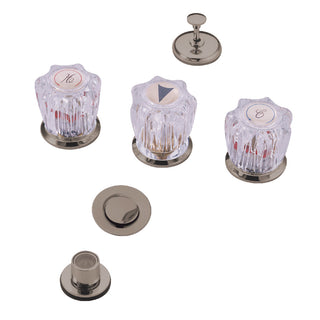 Americana Bidet Faucet in Brushed Nickel